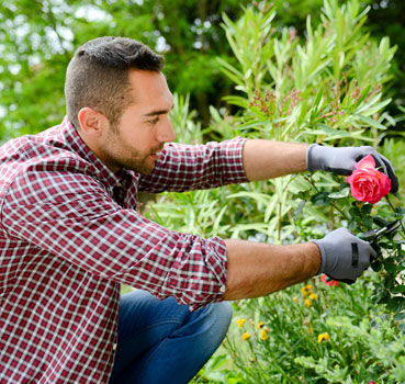 Am�nagement paysager et jardinage