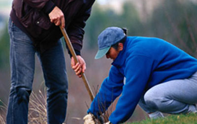 Environnement et cologie